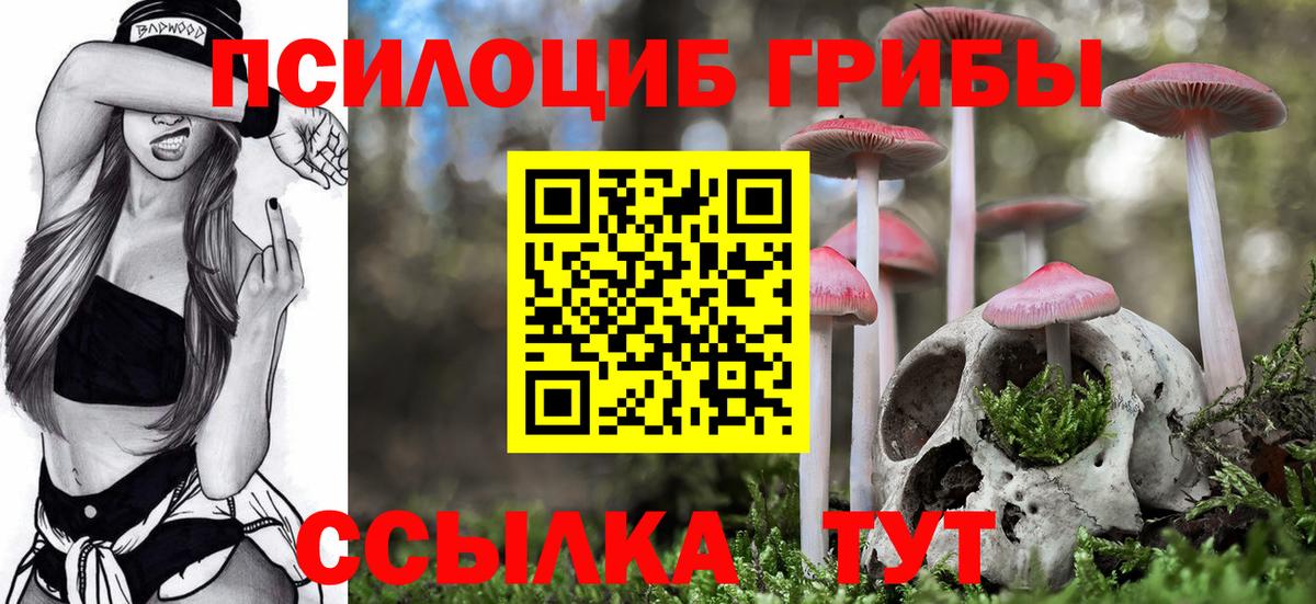 Псилоцибиновые грибы GOLDEN TEACHER Сорочинск