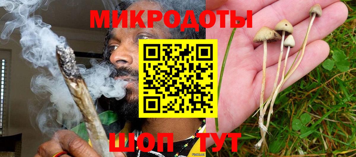 Сорочинск  Галлюциногенные грибы Psilocybe  Вход с VPN 
